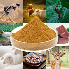 Loomade väljavõtted